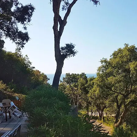 Ai Pini - Argonautivacanze Apartment