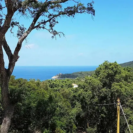 Ai Pini - Argonautivacanze * Procchio (Isola d'Elba)