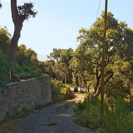 Ai Pini - Argonautivacanze Procchio (Isola d'Elba)