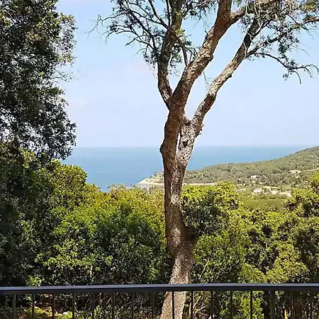 Apartment Ai Pini - Argonautivacanze