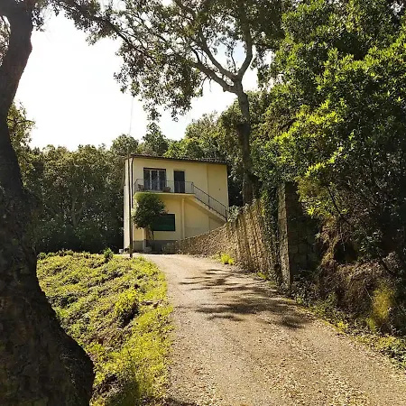 Ai Pini - Argonautivacanze Procchio (Isola d'Elba)