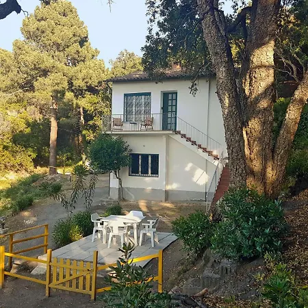 Ai Pini - Argonautivacanze * Procchio (Isola d'Elba)